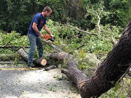 Lawn Maintenance Plans in Roaring Spring, PA